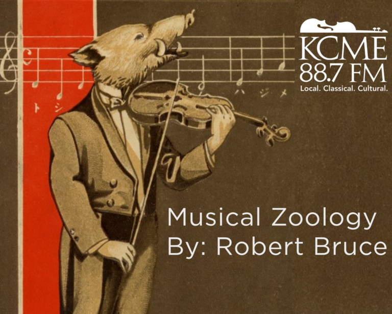 Musical Zoology